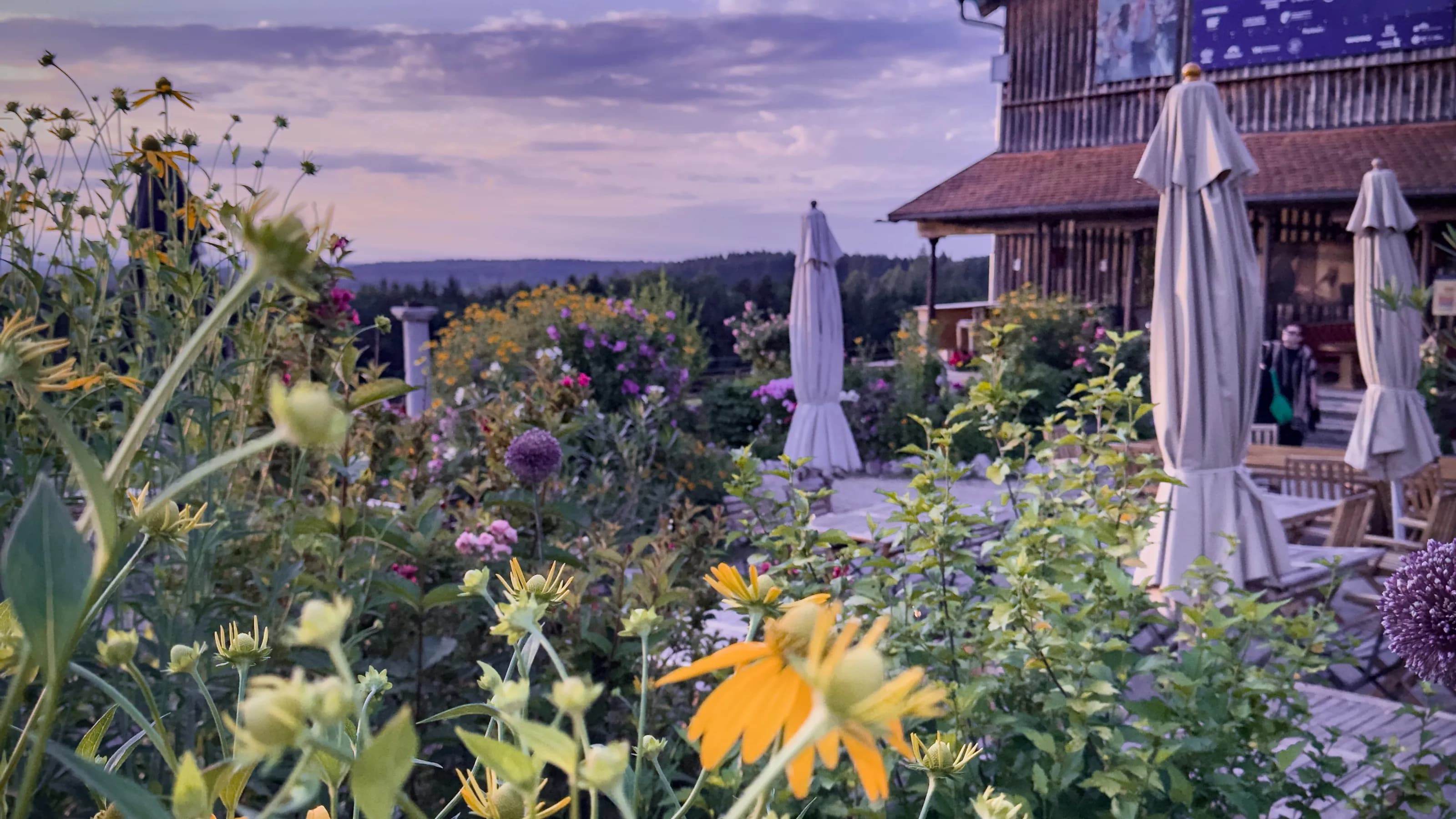 Festspielhalle Immling