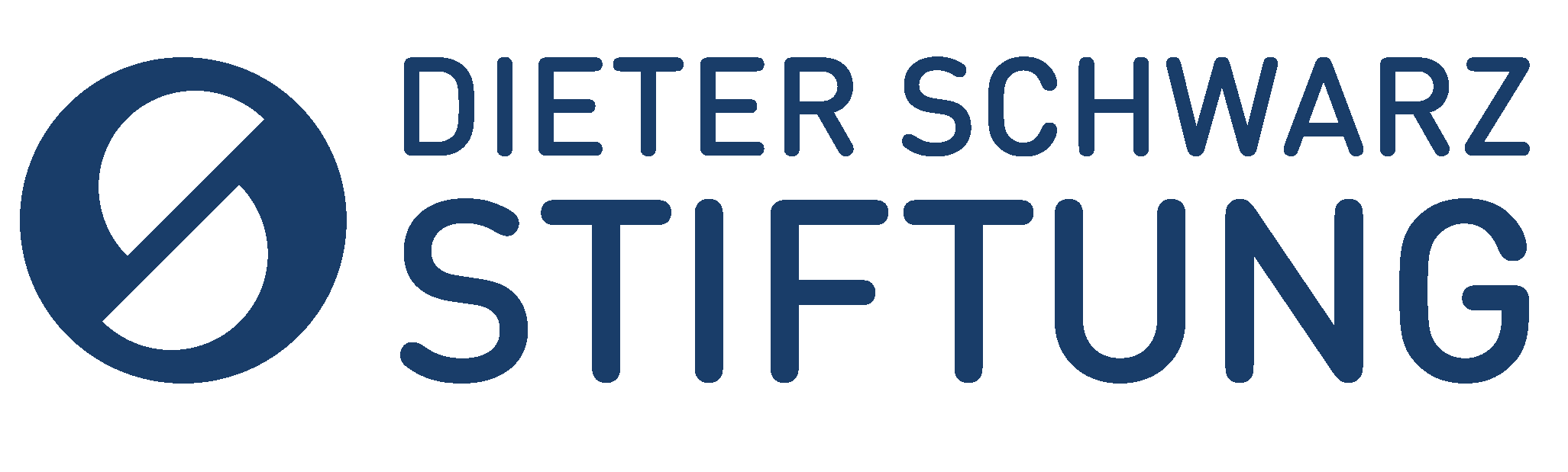 Logo Dieter Schwarz Stiftung