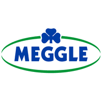 Logo Meggle